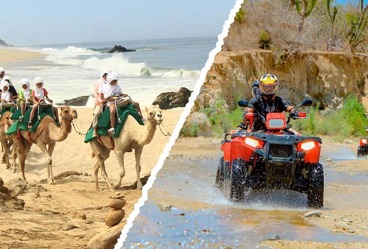 Escape de aventura: Estancia + Actividad (a elegir) Solmar Hotels & Resorts Escape de aventura: Estancia + Actividad (a elegir) Solmar Hotels & Resorts